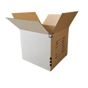 Medium Moving Box
